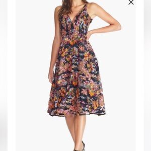 The Population Dress